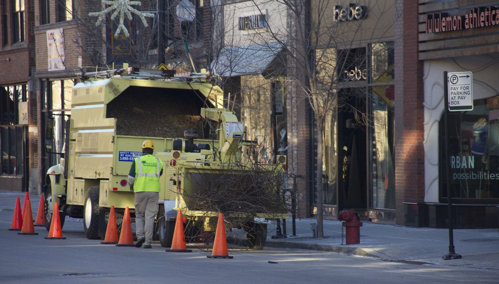 A tree trim service request in Chicago. (Daniel X. O'Neil via Flickr)