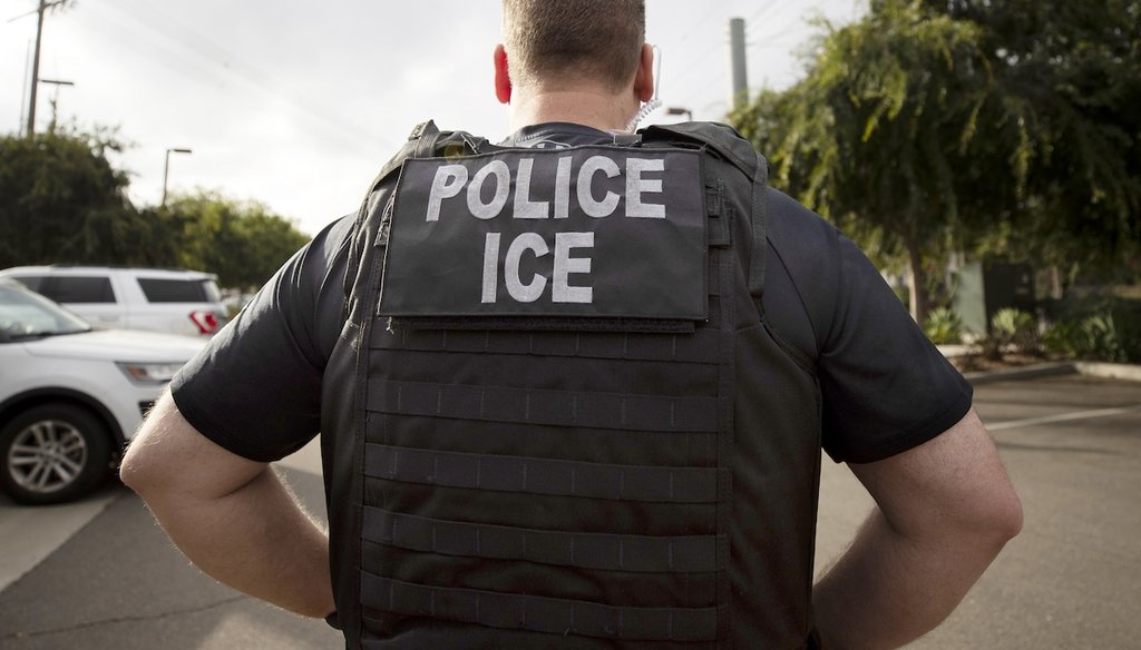 A U.S. Immigration and Customs Enforcement officer looks on during an operation in Escondido, Calif., July 8, 2019. (AP)