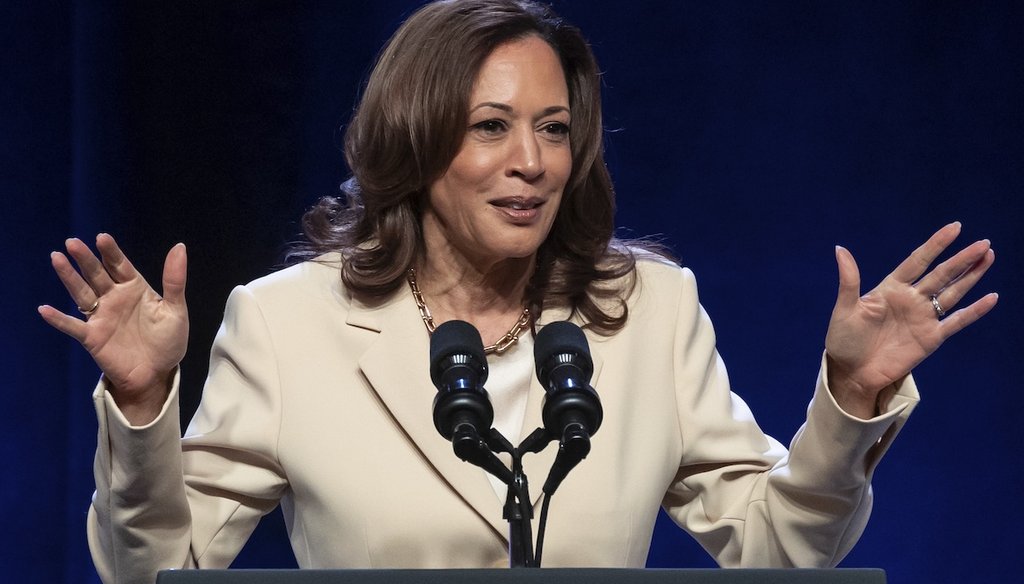 Vice President Kamala Harris speaks during the Unite Here Convention on June 21, 2024, in New York. (AP)