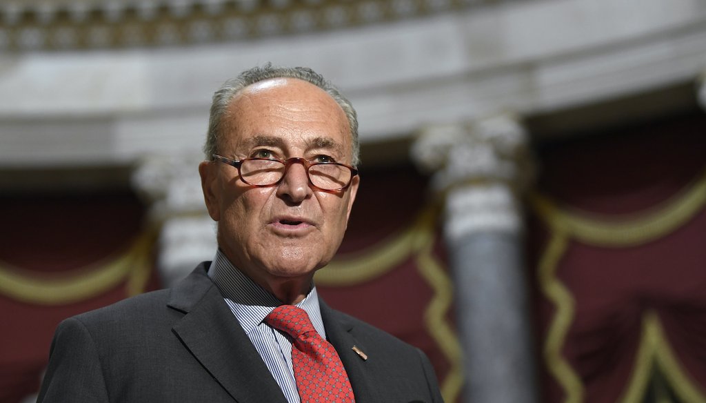 Senate Minority Leader Sen. Chuck Schumer of N.Y., speaks to reporters on Capitol Hill in Washington, Aug. 3, 2020. (AP/Susan Walsh)