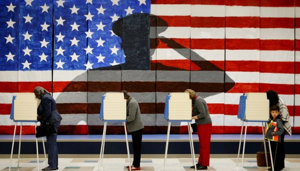 Voters line up in booths to cast their ballots at Robious Elementary School in Chesterfield, Va. on Nov. 8, 2016. (Shelby Lum/Richmond Times-Dispatch via AP)