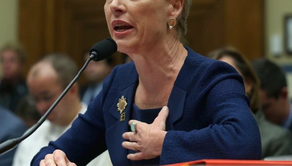 Cecile Richards, president of the Planned Parenthood Federation of America Inc., testifies during a House Oversight and Government Reform Committee hearing on Sept. 29, 2015. (Mark Wilson/Getty Images) 