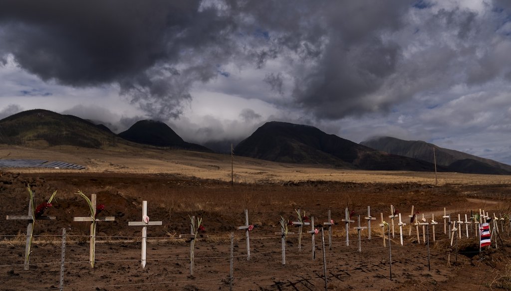 Crosses honoring victims killed in a recent wildfire are posted along the Lahaina Bypass in Lahaina, Hawaii, Aug. 21, 2023. (AP)