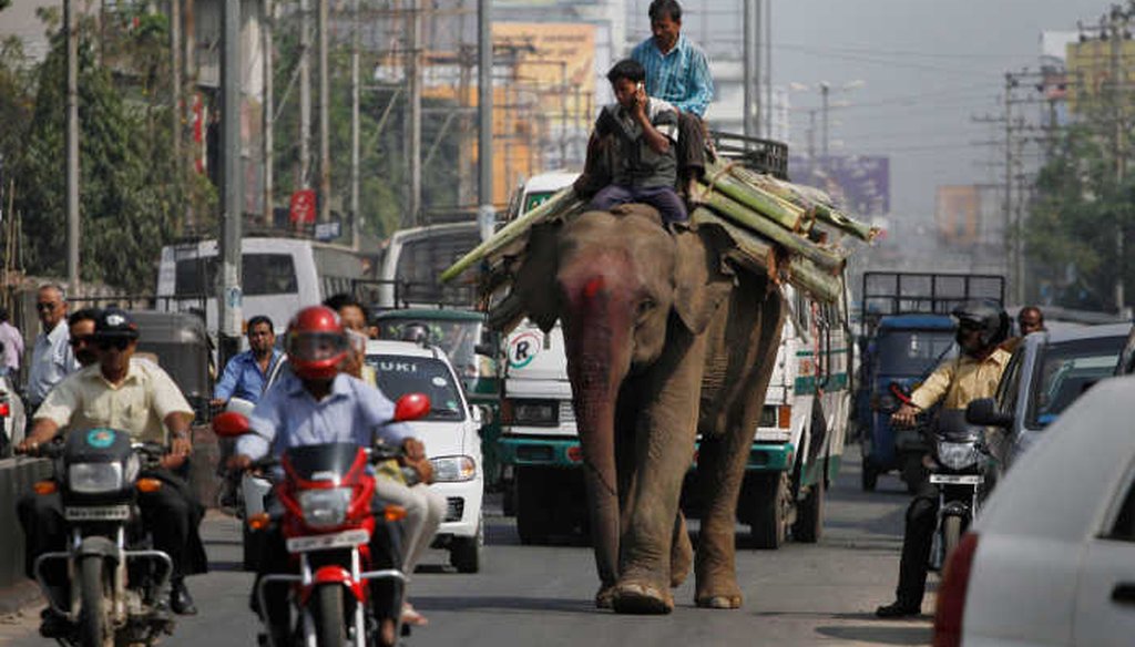 A mahout talks on a mobile phone as he walks through a busy street in Gauhati, India. Allegations that Snapchat's CEO called India too poor for the photo sharing app caused an uproar. (AP)