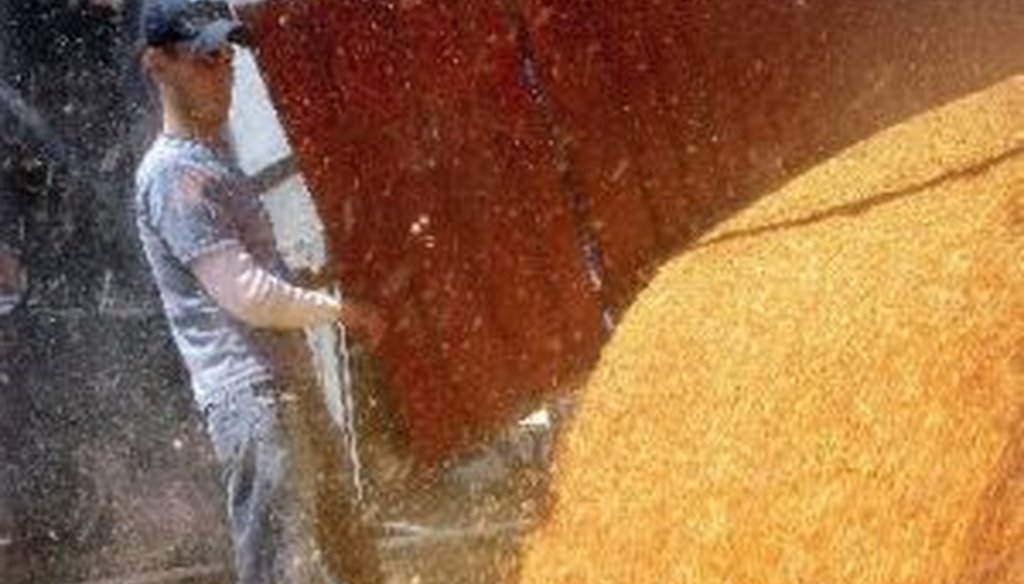 A farmer in central Illinois unloads a truck full of harvested corn, which can then be turned into a gasoline additive known as ethanol.