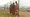 Children stand behind a fence that separates them from the white community near Johannesburg in 1973 (UN Photo) 