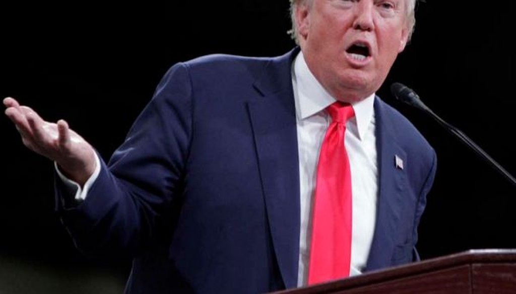 Republican presidential candidate Donald Trump speaks during a campaign stop in Knoxville, Tenn., on Nov. 16, 2015. (AP/Wade Payne) 