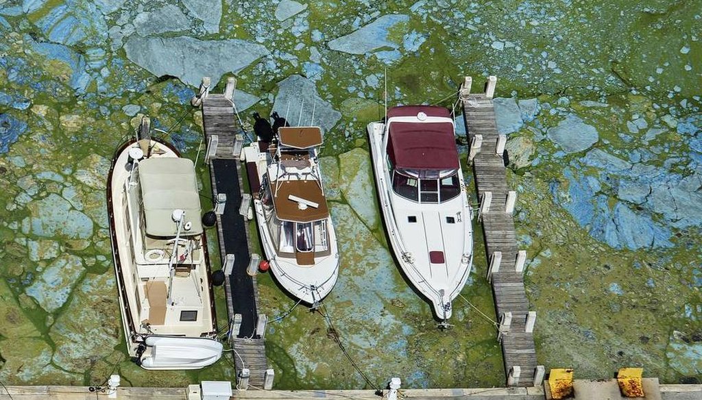 Boats docked at Central Marine in Stuart, Fla., are surrounded by blue green algae, Wednesday, June 29, 2016.  (Palm Beach Post via AP)