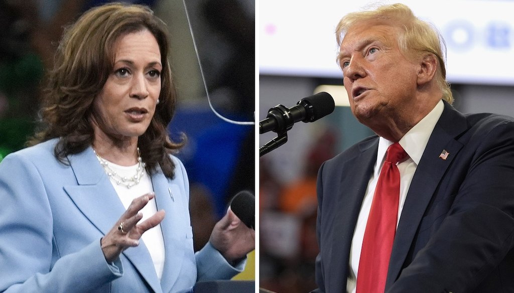 The pharmaceutical industry has donated $518,571 to Democratic presidential nominee Kamala Harris and $204,748 to Republican presidential nominee Donald Trump. (AP)