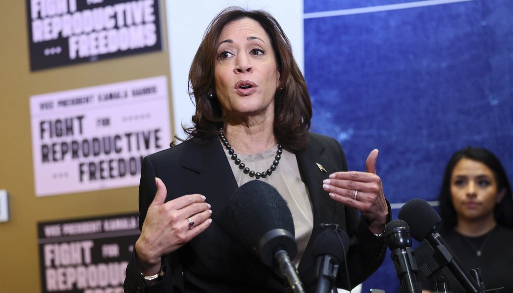 Vice President Kamala Harris speaks March. 14, 2024, at Planned Parenthood in St. Paul, Minn. Harris has said "everything is at stake" with reproductive health rights in November's presidential election. (AP)