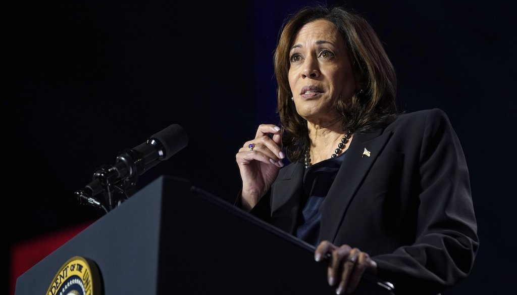 Vice President Kamala Harris discusses abortion rights Jan. 23, 2024, on the George Mason University campus in Manassas, Va. (AP)