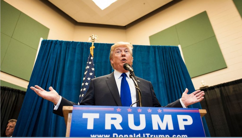 Donald Trump speaks at a town-hall style campaign event in Derry, N.H., Aug. 19, 2015. (Ian Thomas Jansen-Lonnquist/The New York Times)