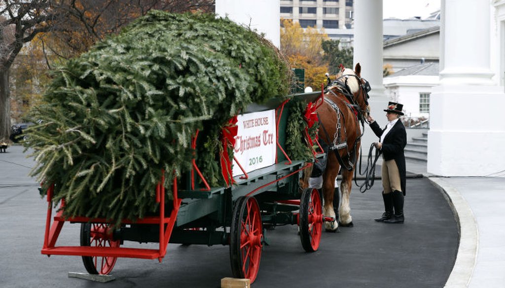 An attendant checks the horses after First Lady Michelle Obama received the Official White House Christmas Tree Nov. 25, 2016. (Alex Brandon/Associated Press)